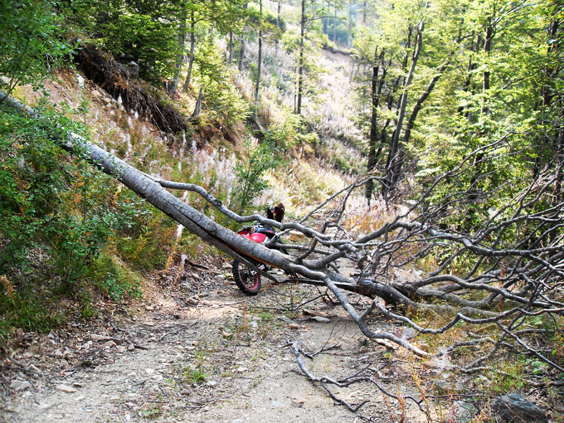 Натиснете снимката за да я уголемите

Име:SDC12965.JPG
Прегледи:1
Размер:814.7 КБ
ID:5403159