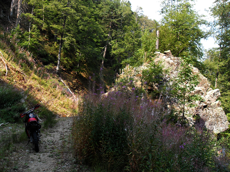 Натиснете снимката за да я уголемите

Име:SDC12966.JPG
Прегледи:1
Размер:729.3 КБ
ID:5403161