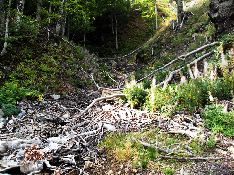 Натиснете снимката за да я уголемите

Име:SDC12968.JPG
Прегледи:1
Размер:763.5 КБ
ID:5403167