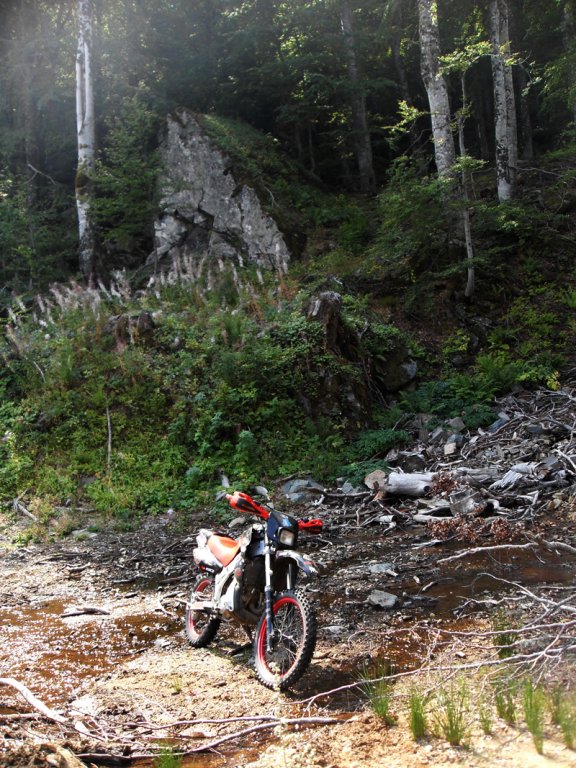 Натиснете снимката за да я уголемите

Име:SDC12969.jpg
Прегледи:1
Размер:156.3 КБ
ID:5403168