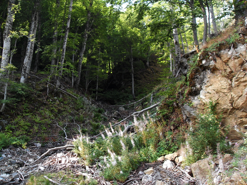 Натиснете снимката за да я уголемите

Име:SDC12970.JPG
Прегледи:1
Размер:704.1 КБ
ID:5403169