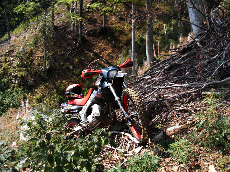 Натиснете снимката за да я уголемите

Име:SDC12974.JPG
Прегледи:1
Размер:712.9 КБ
ID:5403171