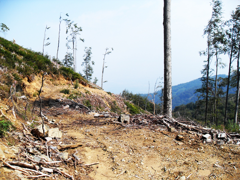 Натиснете снимката за да я уголемите

Име:SDC12973.JPG
Прегледи:1
Размер:618.7 КБ
ID:5403186