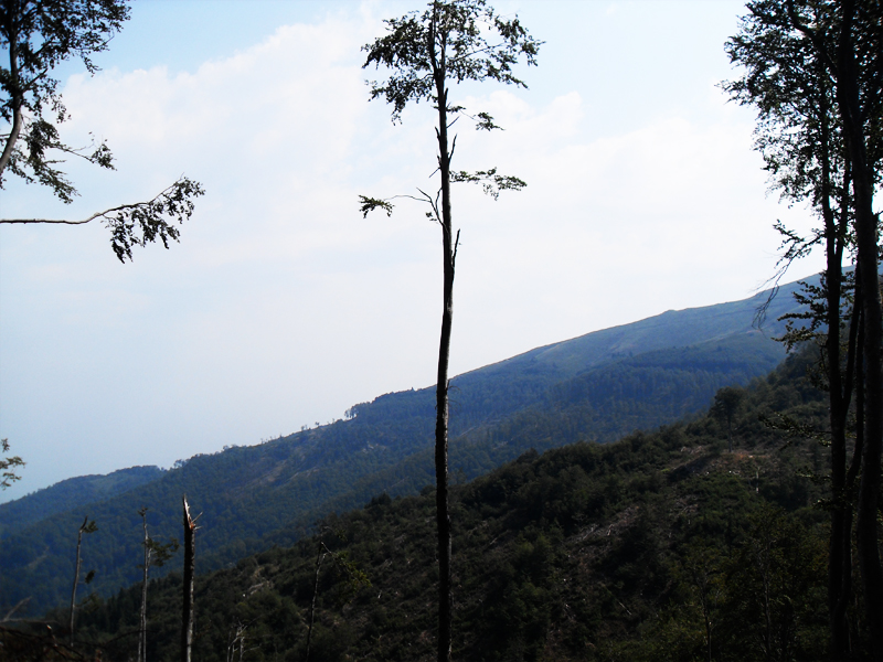 Натиснете снимката за да я уголемите

Име:SDC12978.JPG
Прегледи:1
Размер:377.3 КБ
ID:5403200