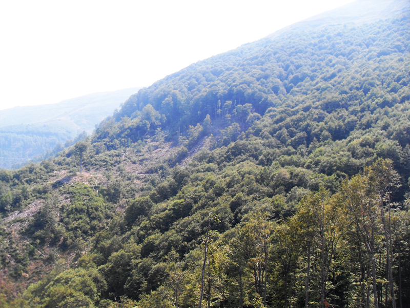 Натиснете снимката за да я уголемите

Име:SDC12980.JPG
Прегледи:1
Размер:524.8 КБ
ID:5403201