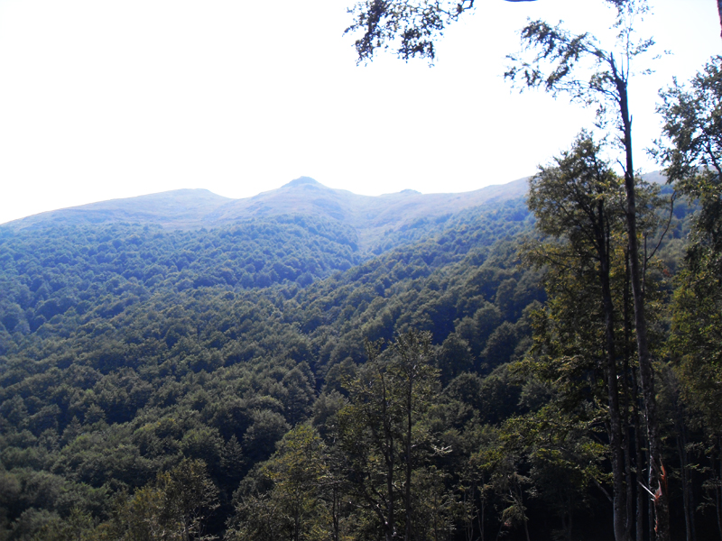 Натиснете снимката за да я уголемите

Име:SDC12981.JPG
Прегледи:1
Размер:448.7 КБ
ID:5403202