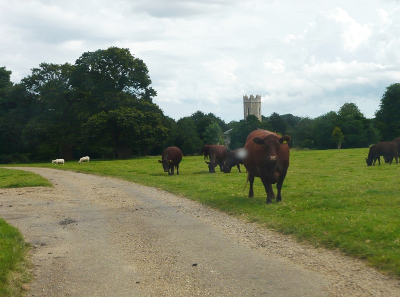 Натиснете снимката за да я уголемите

Име:4 (105).JPG
Прегледи:1
Размер:314.6 КБ
ID:5403635
