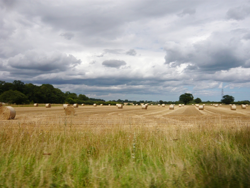 Натиснете снимката за да я уголемите

Име:4 (108).JPG
Прегледи:1
Размер:227.8 КБ
ID:5403638