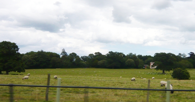 Натиснете снимката за да я уголемите

Име:4 (115).JPG
Прегледи:1
Размер:209.7 КБ
ID:5403645