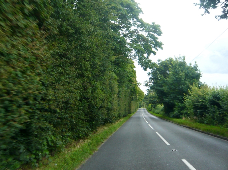 Натиснете снимката за да я уголемите

Име:4 (119).JPG
Прегледи:1
Размер:306.6 КБ
ID:5403649