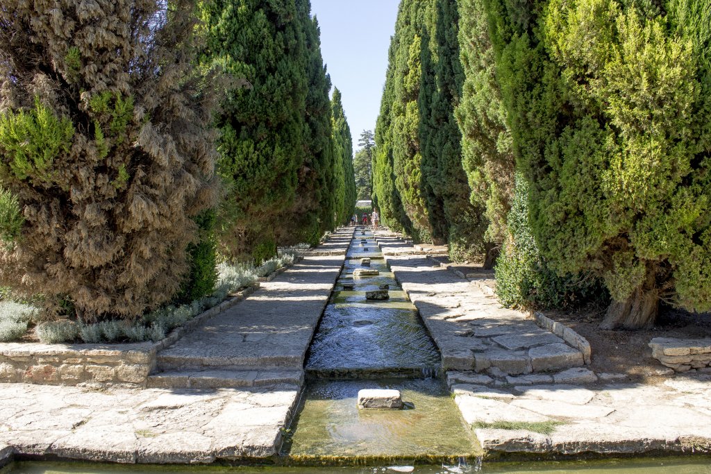 Натиснете снимката за да я уголемите

Име:IMG_0545.jpg
Прегледи:1
Размер:264.5 КБ
ID:5403884