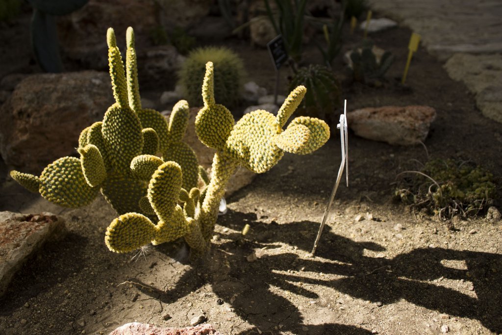 Натиснете снимката за да я уголемите

Име:IMG_0569.jpg
Прегледи:1
Размер:161.4 КБ
ID:5403887