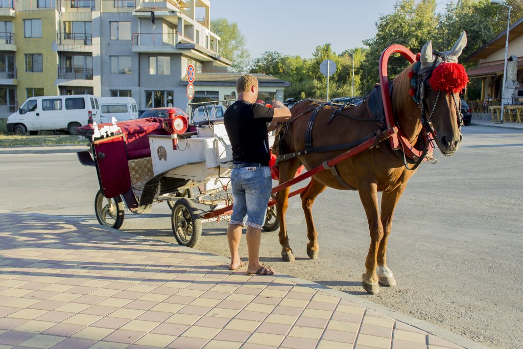 Натиснете снимката за да я уголемите

Име:IMG_0632.jpg
Прегледи:1
Размер:177.7 КБ
ID:5403898