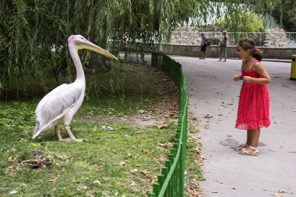 Натиснете снимката за да я уголемите

Име:IMG_0828.jpg
Прегледи:1
Размер:186.7 КБ
ID:5403903