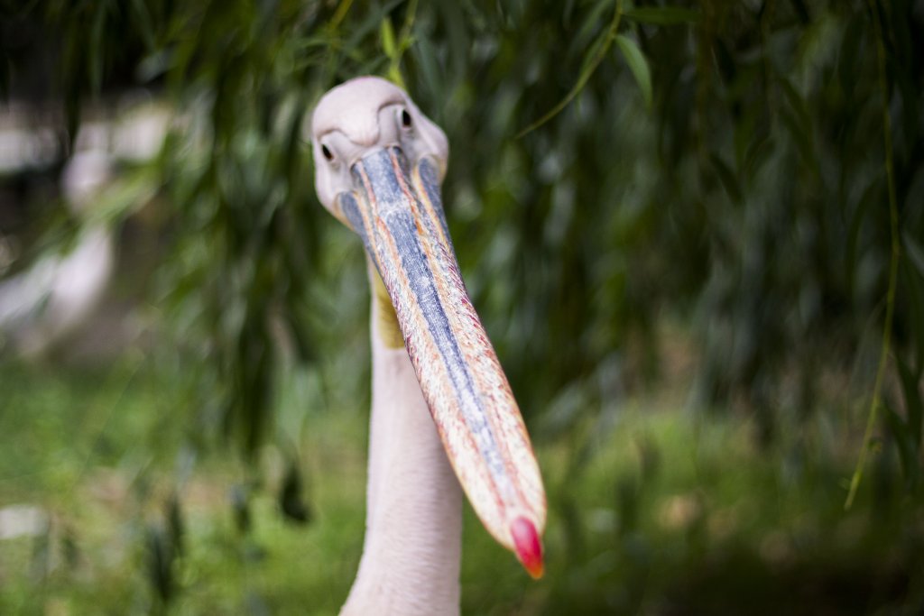 Натиснете снимката за да я уголемите

Име:IMG_0847.jpg
Прегледи:1
Размер:74.8 КБ
ID:5403904