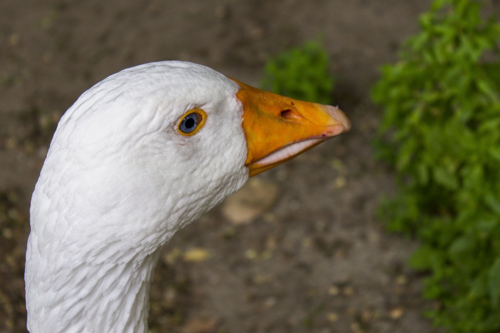 Натиснете снимката за да я уголемите

Име:IMG_0871.jpg
Прегледи:1
Размер:77.4 КБ
ID:5403905