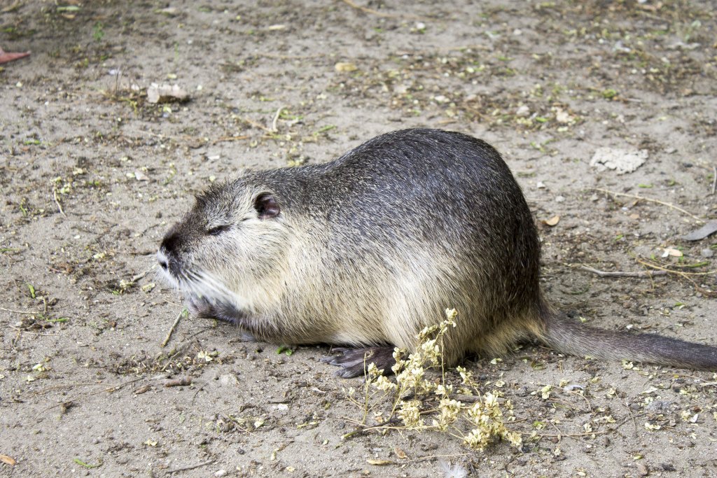 Натиснете снимката за да я уголемите

Име:IMG_0874.jpg
Прегледи:1
Размер:243.6 КБ
ID:5403906