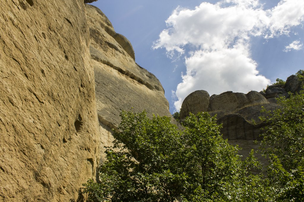 Натиснете снимката за да я уголемите

Име:IMG_1139.jpg
Прегледи:1
Размер:241.0 КБ
ID:5403927