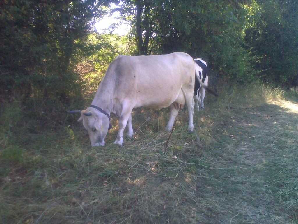 Натиснете снимката за да я уголемите

Име:060920121374.jpg
Прегледи:1
Размер:185.0 КБ
ID:5404721