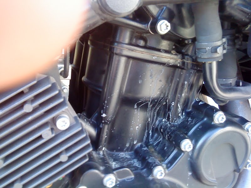 Натиснете снимката за да я уголемите

Име:DSC00249.JPG
Прегледи:1
Размер:71.3 КБ
ID:5405095