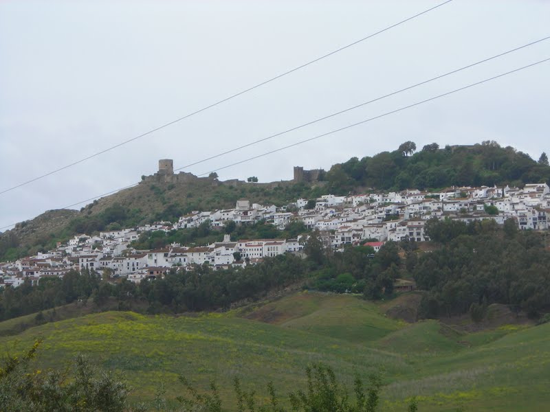 Натиснете снимката за да я уголемите

Име:DSCN3563.JPG
Прегледи:1
Размер:70.2 КБ
ID:5406496