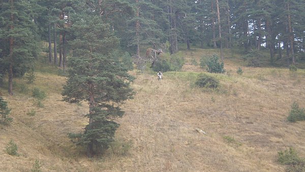 Натиснете снимката за да я уголемите

Име:P9070989.jpg
Прегледи:1
Размер:60.3 КБ
ID:5406604