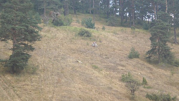 Натиснете снимката за да я уголемите

Име:P9070990.jpg
Прегледи:1
Размер:61.1 КБ
ID:5406605