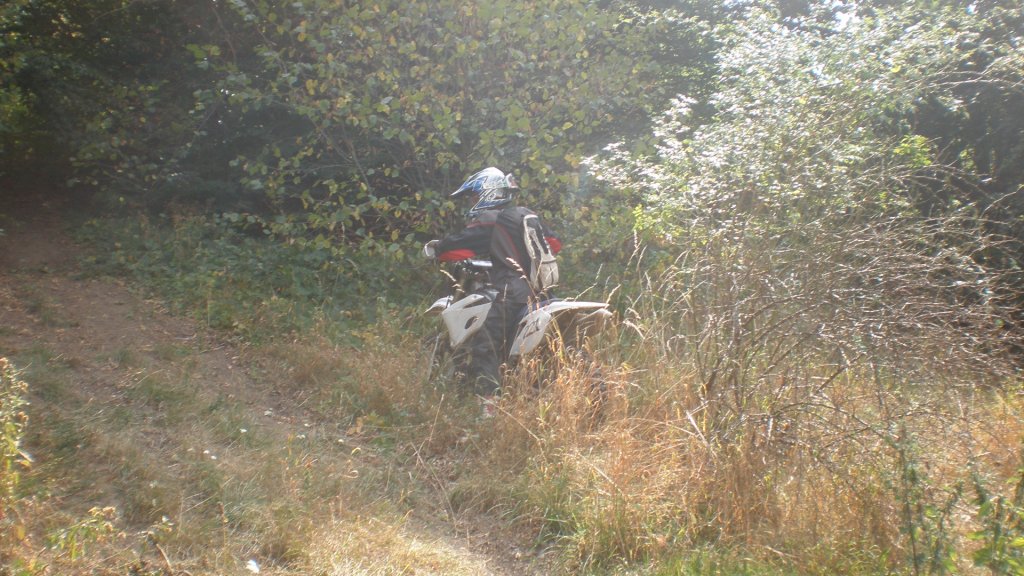 Натиснете снимката за да я уголемите

Име:P9071003.jpg
Прегледи:1
Размер:167.8 КБ
ID:5406660