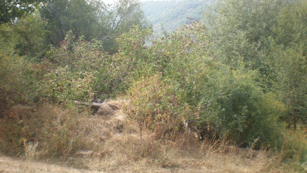 Натиснете снимката за да я уголемите

Име:P9071014.jpg
Прегледи:1
Размер:169.4 КБ
ID:5406680