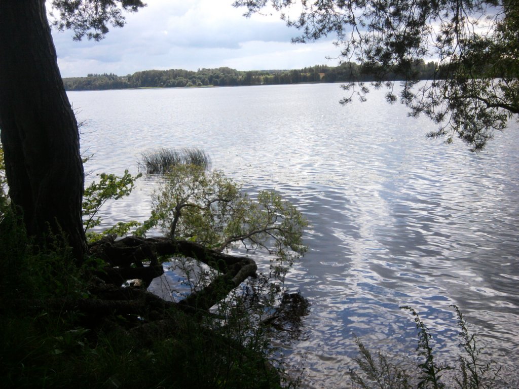 Натиснете снимката за да я уголемите

Име:2012-08-09 14.12.19.jpg
Прегледи:1
Размер:186.5 КБ
ID:5407485