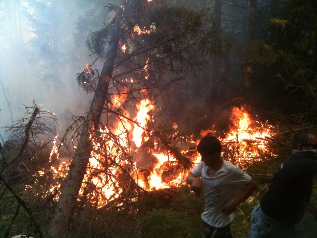 Натиснете снимката за да я уголемите

Име:IMG_0654.jpg
Прегледи:1
Размер:151.3 КБ
ID:5407606