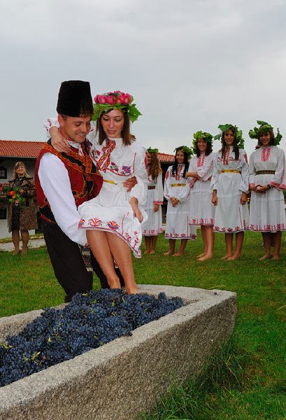 Натиснете снимката за да я уголемите

Име:grozdober.jpg
Прегледи:1
Размер:61.0 КБ
ID:5407764