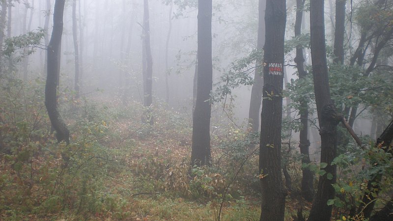 Натиснете снимката за да я уголемите

Име:P9161412.jpg
Прегледи:1
Размер:81.9 КБ
ID:5408346