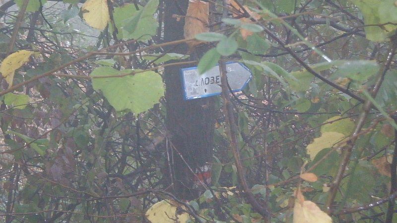 Натиснете снимката за да я уголемите

Име:P9161416.jpg
Прегледи:1
Размер:81.0 КБ
ID:5408350