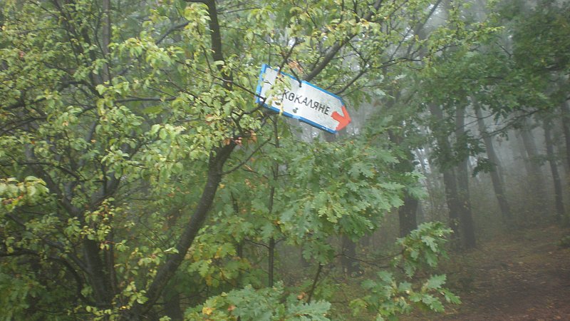 Натиснете снимката за да я уголемите

Име:P9161417.jpg
Прегледи:1
Размер:102.2 КБ
ID:5408351