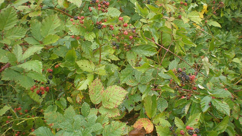 Натиснете снимката за да я уголемите

Име:P9161421.jpg
Прегледи:1
Размер:137.9 КБ
ID:5408355