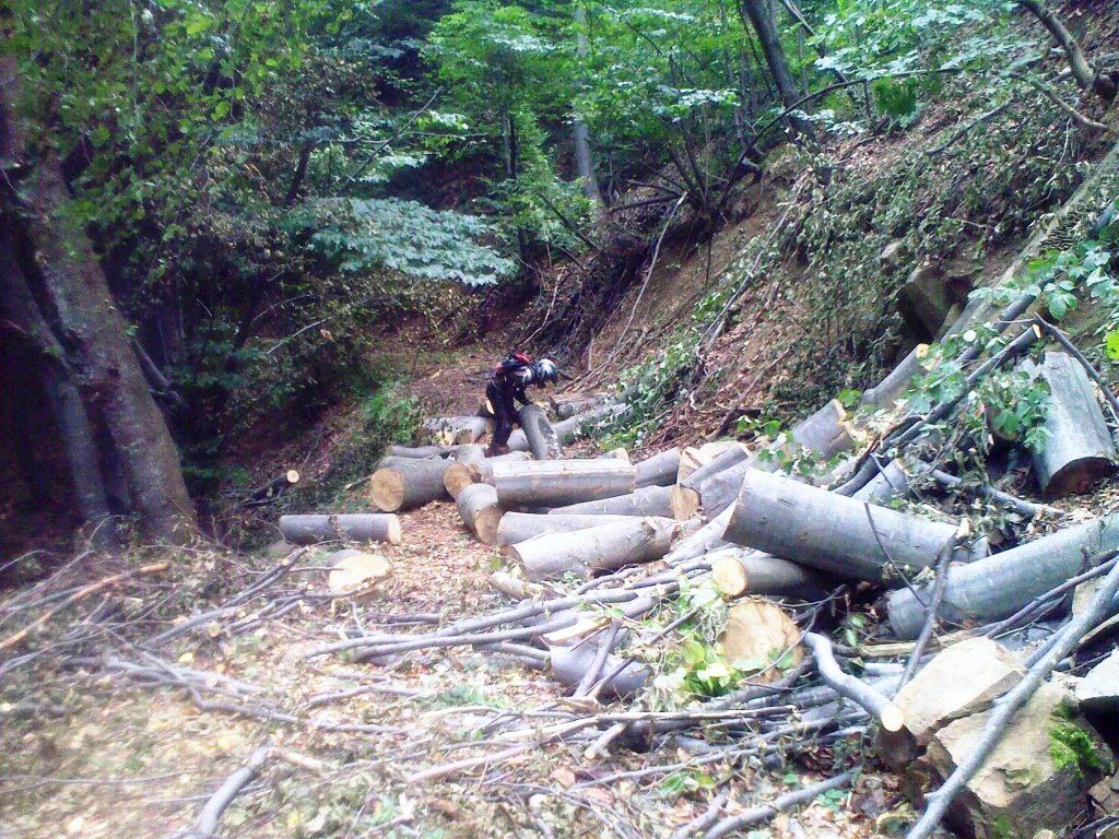 Натиснете снимката за да я уголемите

Име:200920121398.jpg
Прегледи:1
Размер:282.2 КБ
ID:5408869