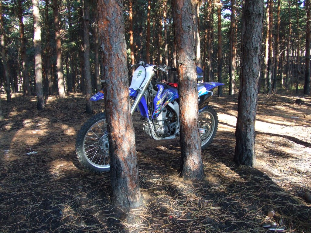 Натиснете снимката за да я уголемите

Име:DSCF3382.jpg
Прегледи:1
Размер:279.5 КБ
ID:5411143