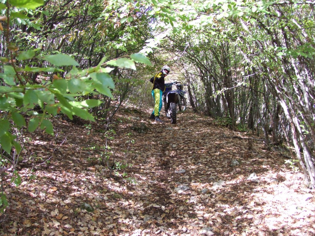 Натиснете снимката за да я уголемите

Име:DSCF3388.jpg
Прегледи:1
Размер:328.2 КБ
ID:5411148