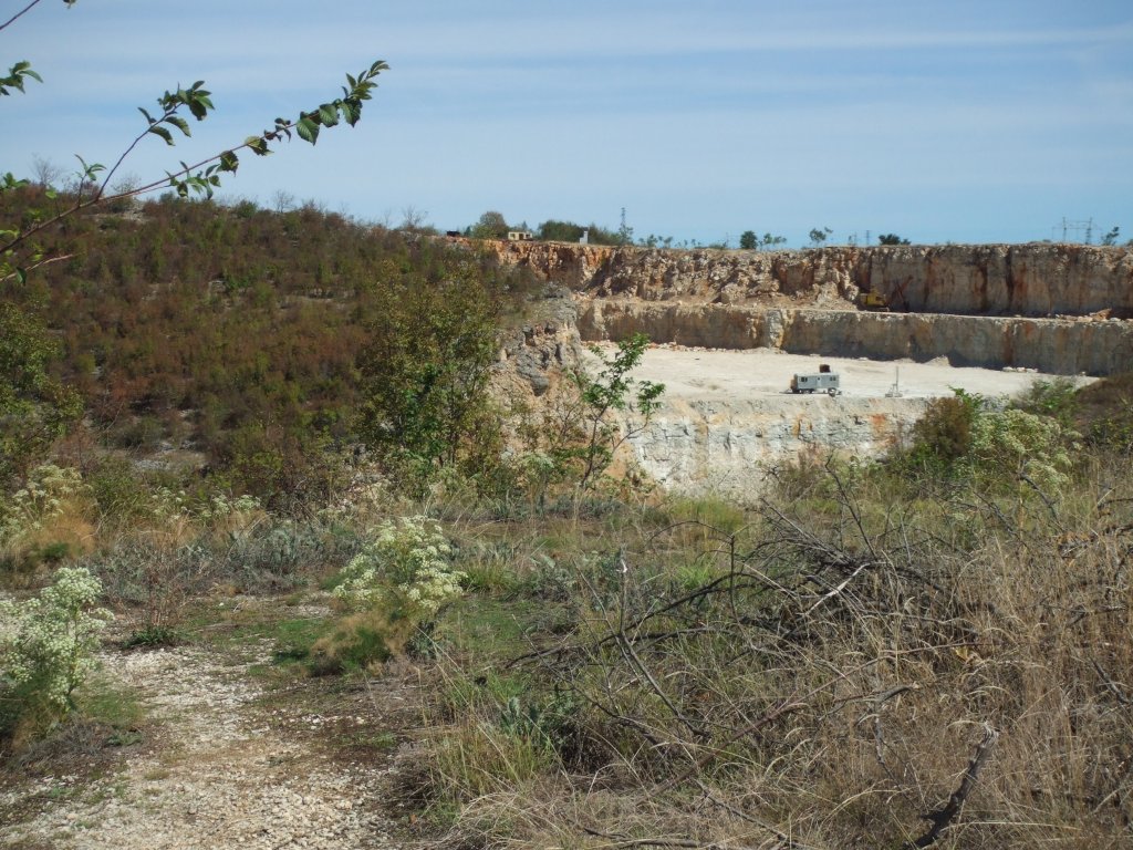 Натиснете снимката за да я уголемите

Име:DSCF3418.jpg
Прегледи:1
Размер:217.7 КБ
ID:5411186