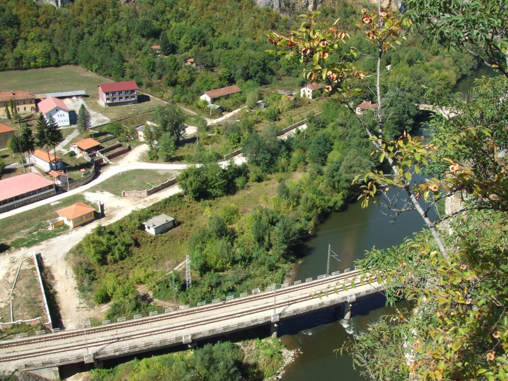 Натиснете снимката за да я уголемите

Име:DSCF3424.jpg
Прегледи:1
Размер:281.2 КБ
ID:5411192