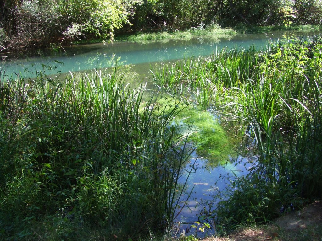 Натиснете снимката за да я уголемите

Име:DSCF3435.jpg
Прегледи:1
Размер:291.6 КБ
ID:5411314