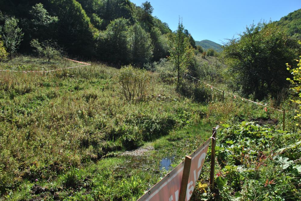 Натиснете снимката за да я уголемите

Име:DSC_3085.JPG
Прегледи:2
Размер:239.5 КБ
ID:5411992