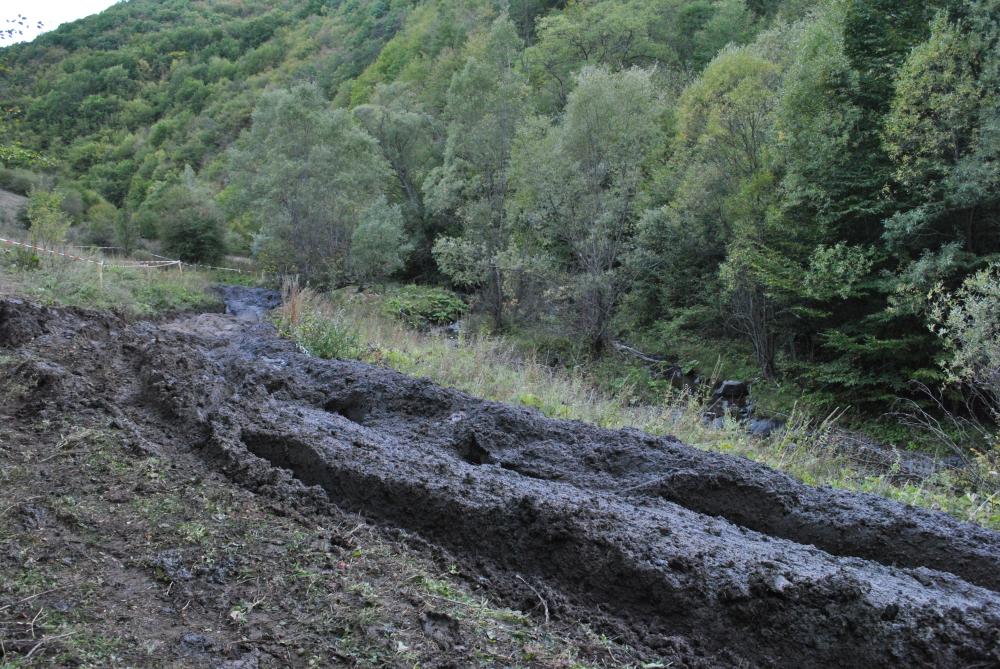 Натиснете снимката за да я уголемите

Име:DSC_3704.JPG
Прегледи:1
Размер:198.0 КБ
ID:5411993