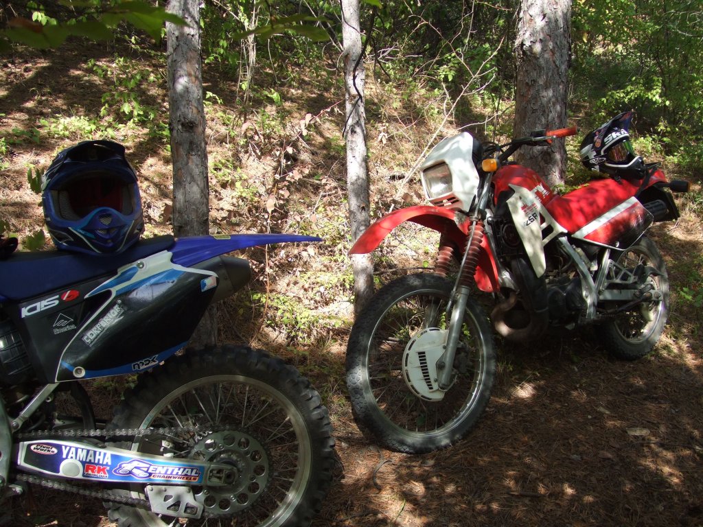 Натиснете снимката за да я уголемите

Име:DSCF3471.jpg
Прегледи:1
Размер:259.7 КБ
ID:5412825