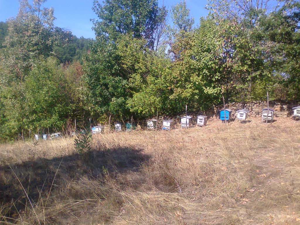 Натиснете снимката за да я уголемите

Име:Снимка0702.jpg
Прегледи:1
Размер:338.8 КБ
ID:5414941