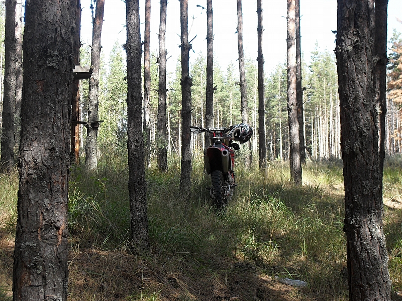 Натиснете снимката за да я уголемите

Име:New_SDC15231.jpg
Прегледи:1
Размер:608.8 КБ
ID:5415696