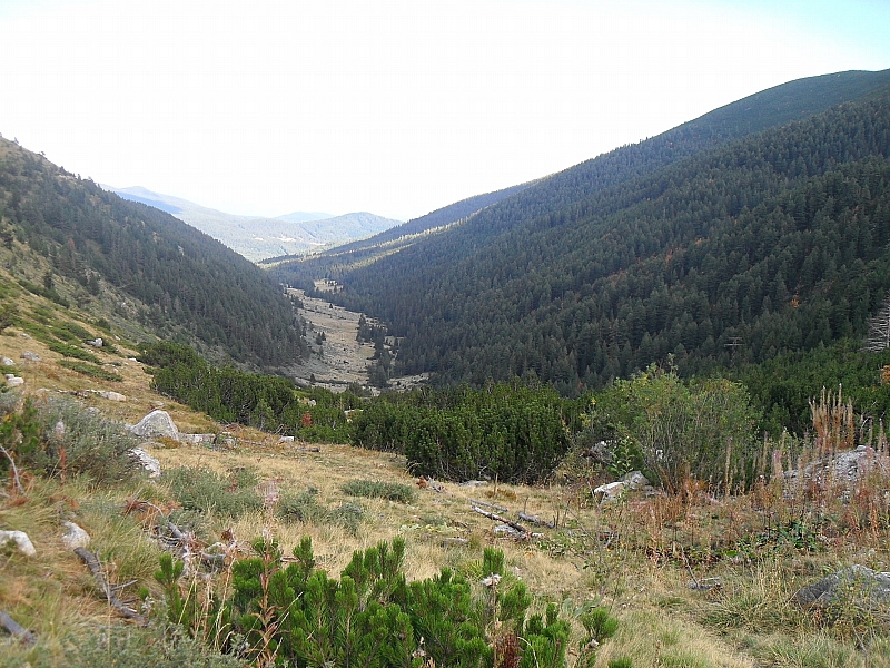 Натиснете снимката за да я уголемите

Име:New_SDC15241.jpg
Прегледи:1
Размер:493.9 КБ
ID:5415700