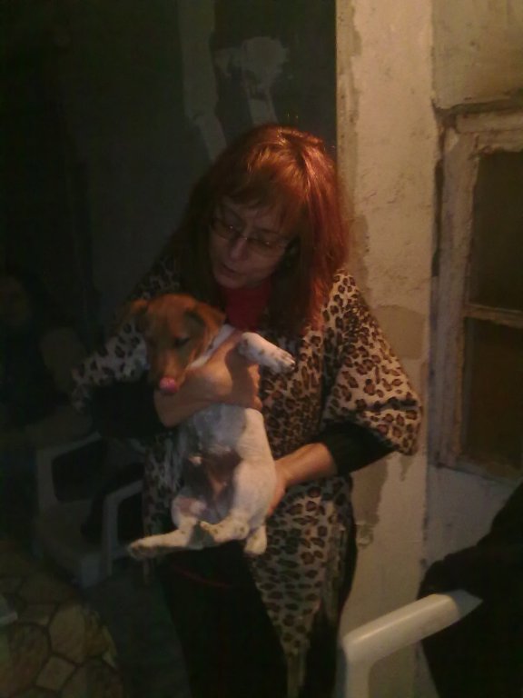 Натиснете снимката за да я уголемите

Име:121020122374.jpg
Прегледи:1
Размер:43.9 КБ
ID:5416217