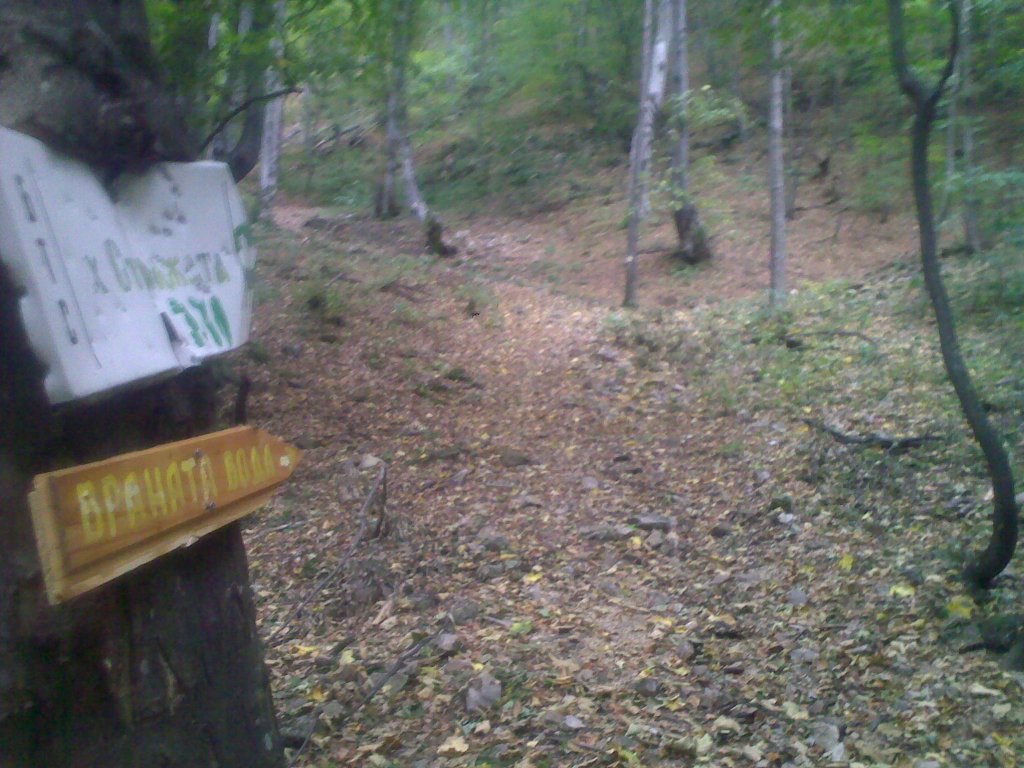 Натиснете снимката за да я уголемите

Име:141020121436.jpg
Прегледи:1
Размер:160.0 КБ
ID:5416466